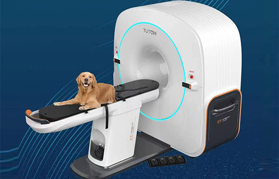 宠物拍X光和做CT有啥不一样？会不会致癌？